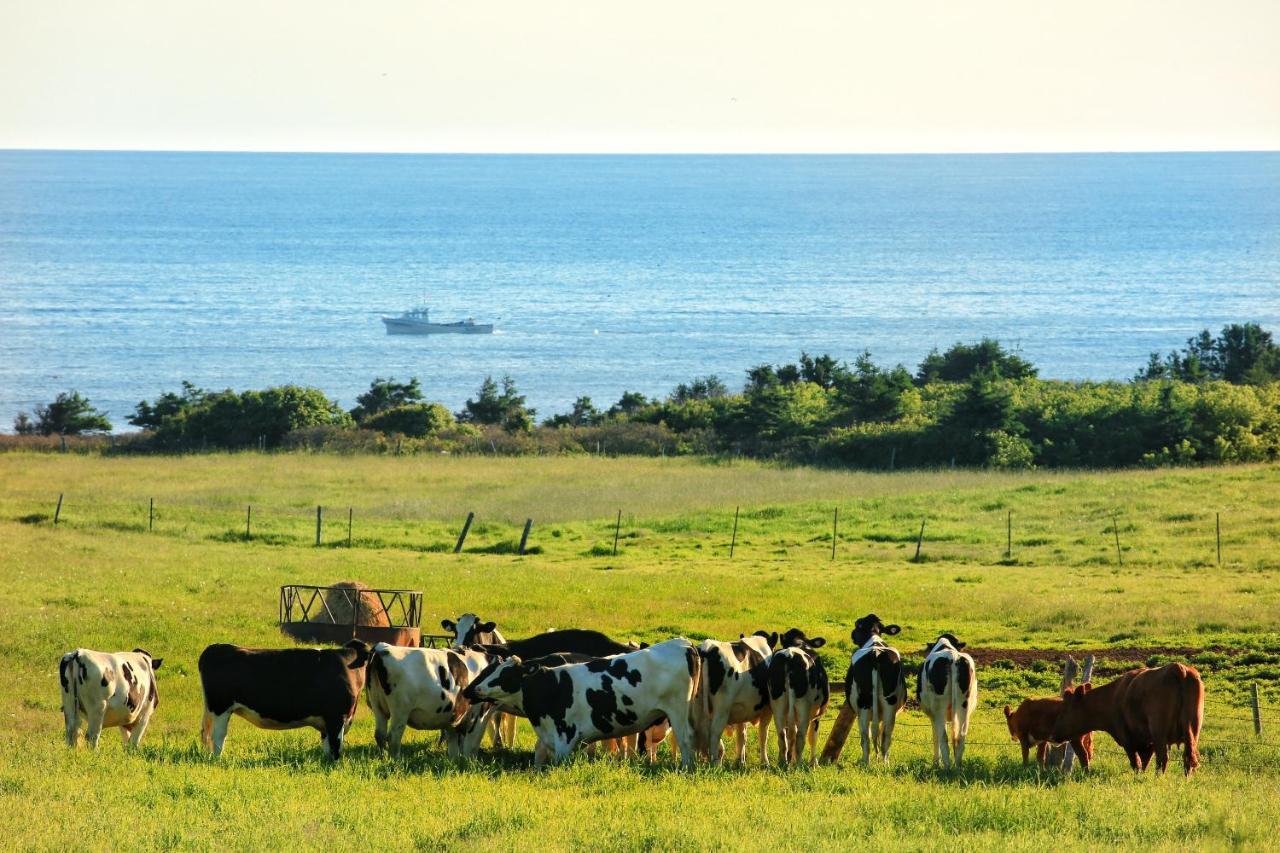 Cavendish Country Inn & Cottages Dış mekan fotoğraf